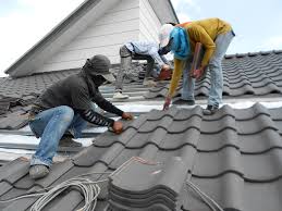 Best Roof Installation  in Escobares, TX